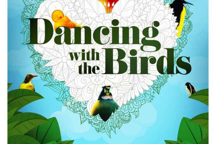 Dancing with the Birds