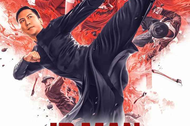 Ip Man Kung Fu Master