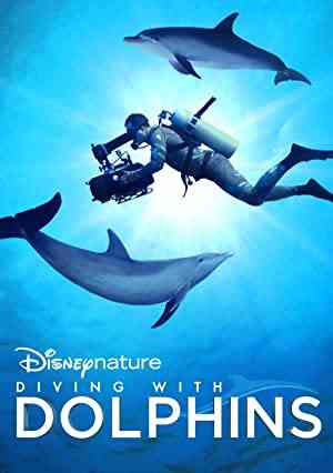 Diving with Dolphins