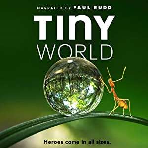Tiny World