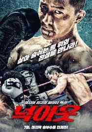 Knockout 