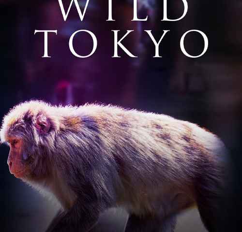 Wild Tokyo