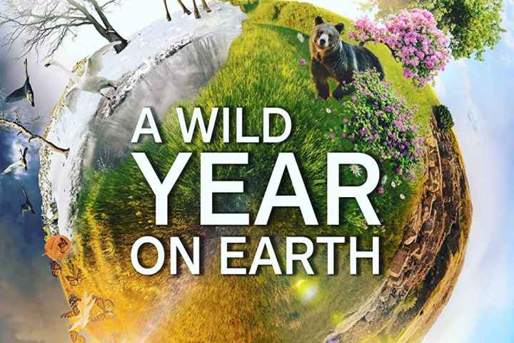 A Wild Year on Earth