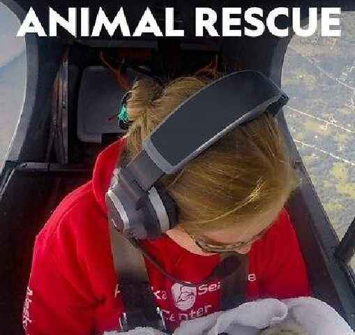 Alaska Animal Rescue