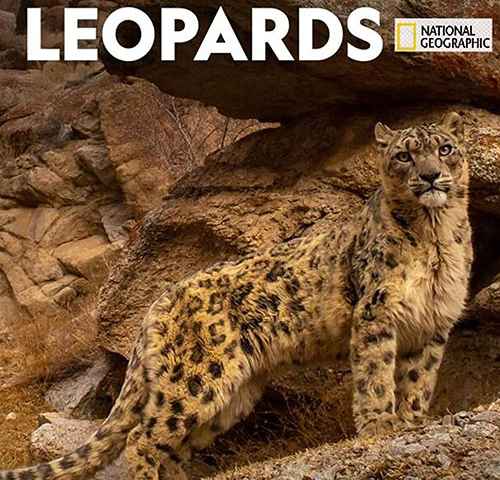 Indias Wild Leopards