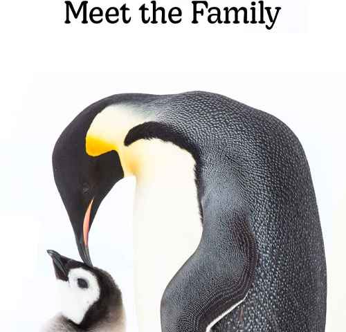 Penguins Meet the Family