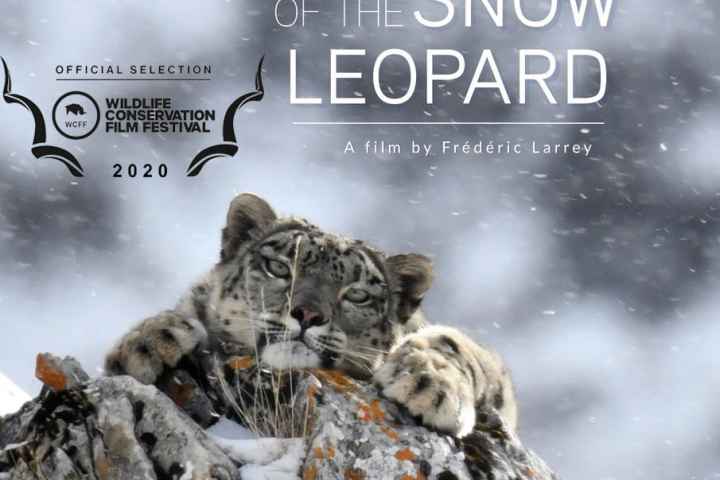 The Frozen Kingdom of the Snow Leopard