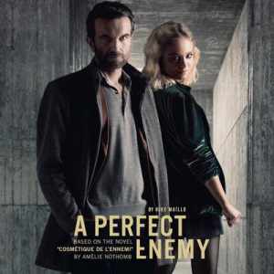 A Perfect Enemy