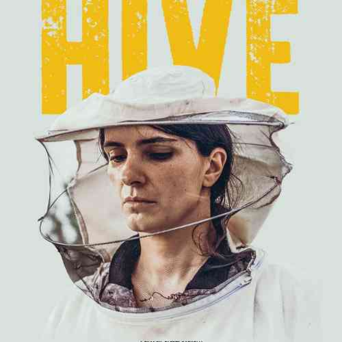 Hive