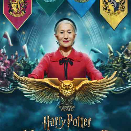 Harry Potter Hogwarts Tournament of Houses