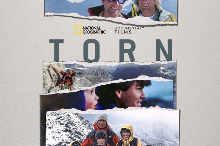 Torn