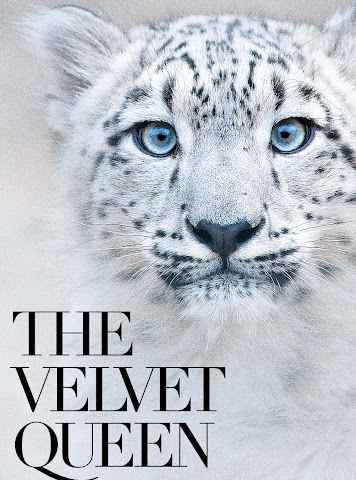 The Velvet Queen