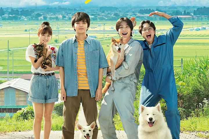 Inubu