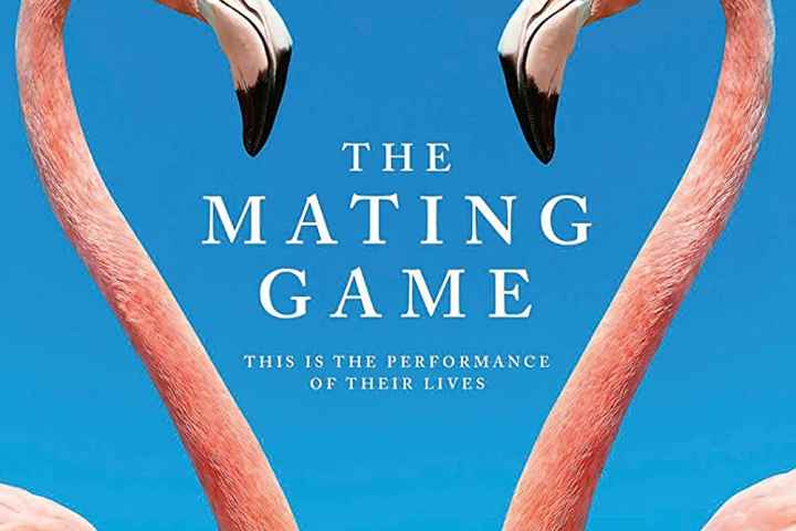 The Mating Game