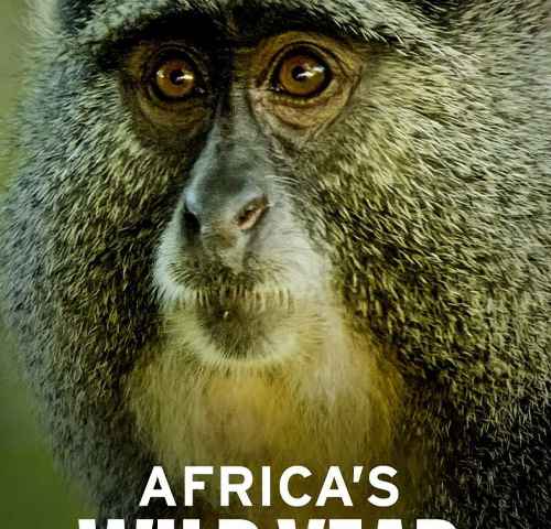 Africas Wild Year