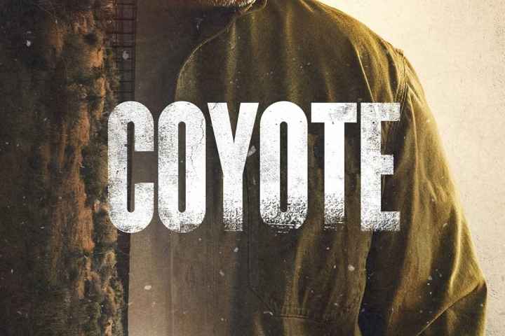 Coyote