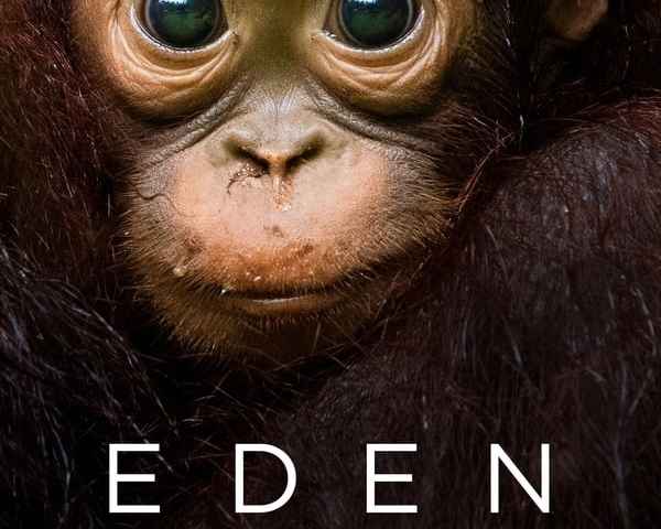 Eden Untamed Planet
