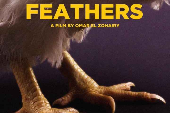 Feathers