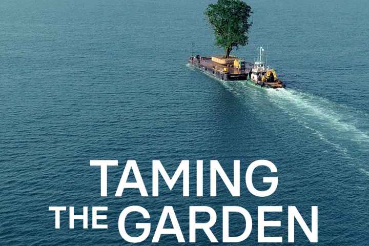Taming the Garden