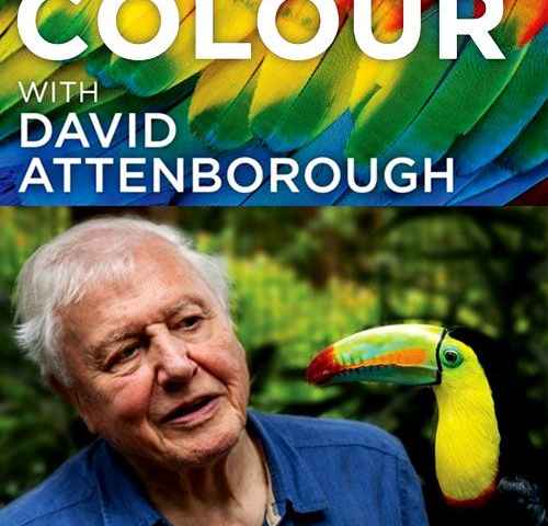 Life in Colour