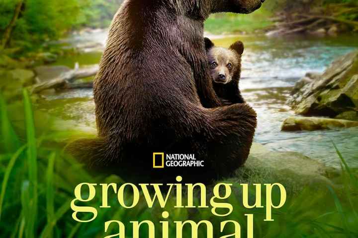 Growing Up Animal