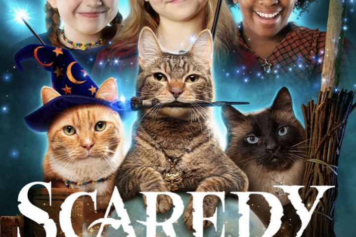 Scaredy Cats