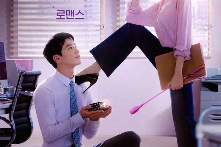 Love and Leashes