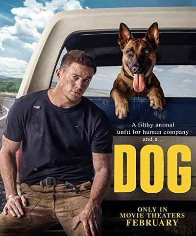 Dog