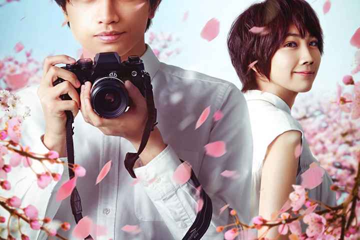 Love Like the Falling Petals