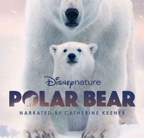 Polar Bear