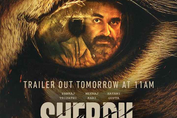 Sherdil