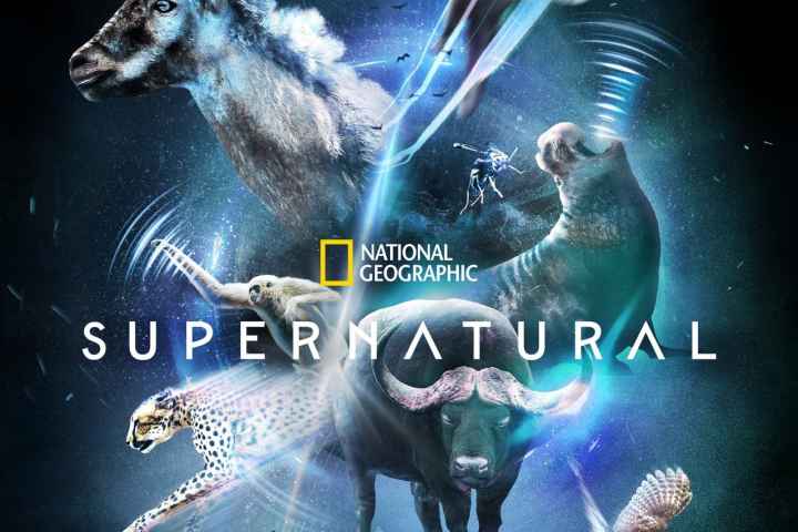 Super/Natural
