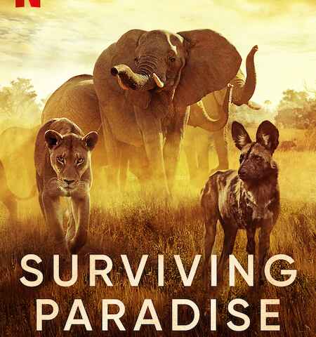 Surviving Paradise A Family Tale