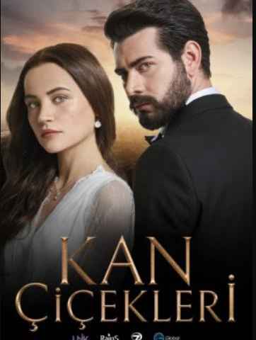 Kan cicekleri