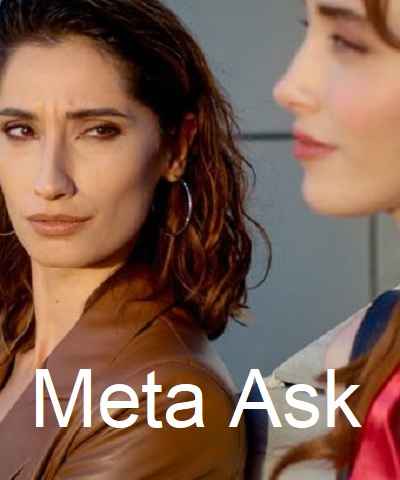 Meta Ask