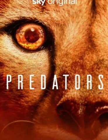 Predators