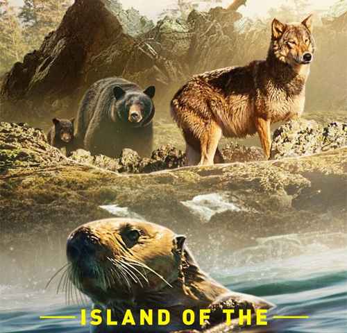 Island of the Sea Wolves