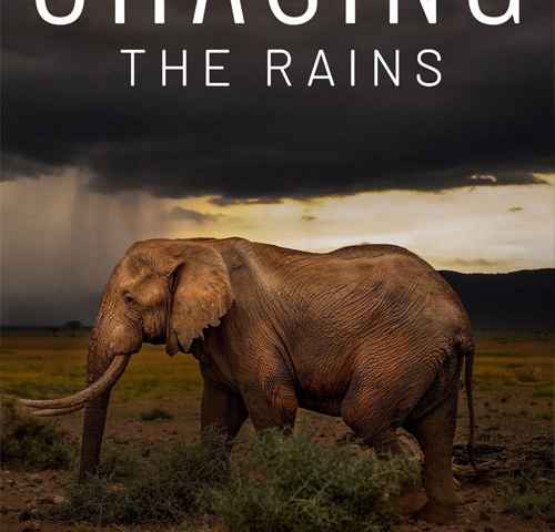Chasing the Rains