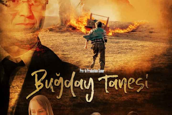 Bugday Tanesi
