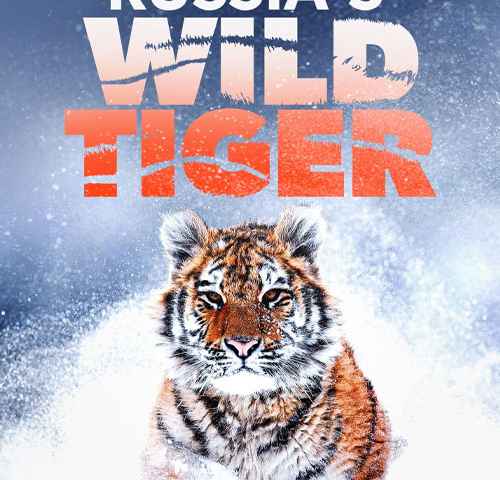 Russias Wild Tiger