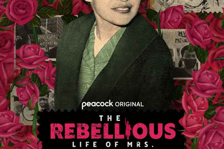 The Rebellious Life of Mrs Rosa Parks