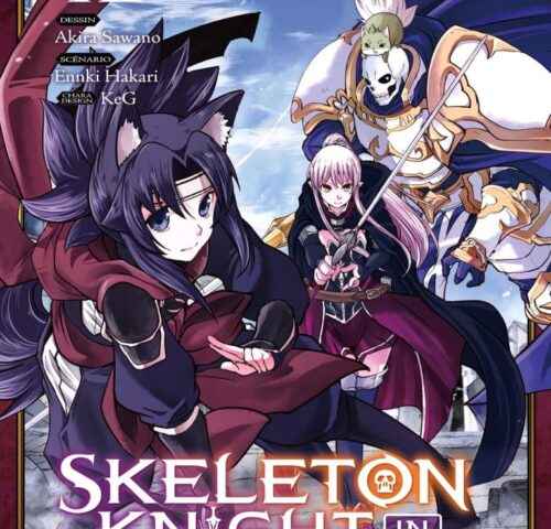 Skeleton Knight in Another World