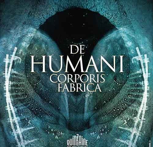 The Fabric of the Human Body