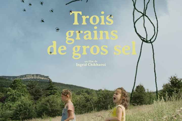Trois grains de gros sel