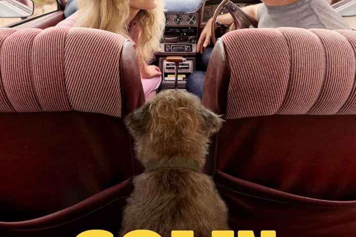 Colin from Accounts