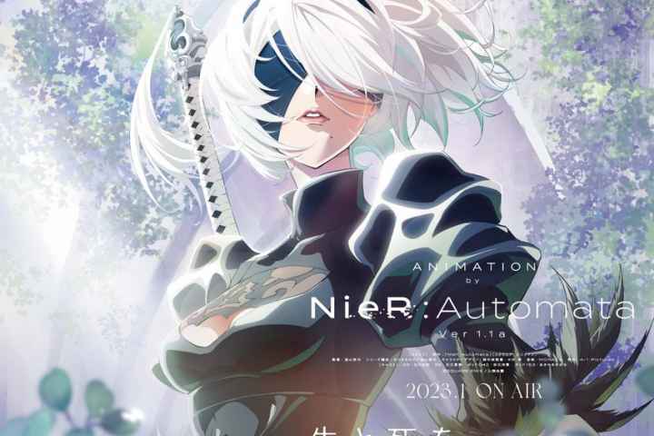 Nier Automata Ver1.1a