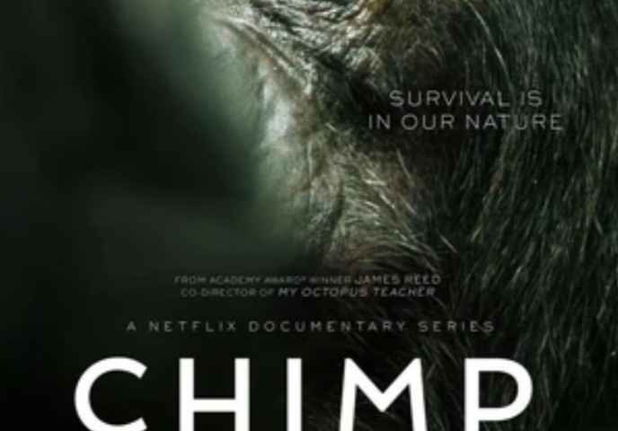 Chimp Empire