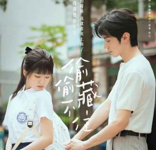 Hidden Love