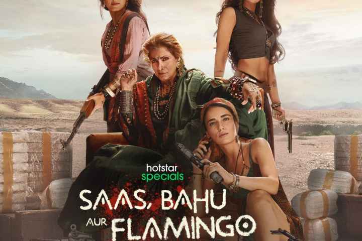 Saas Bahu Aur Flamingo
