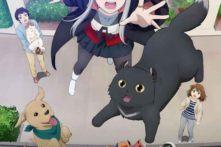 Too Cute Crisis